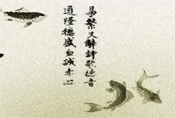 做梦梦到海市蜃楼了好吗
