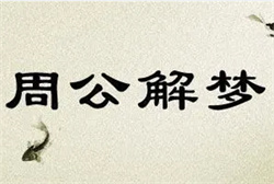 梦到密密麻麻的小虫子爬到衣服上
